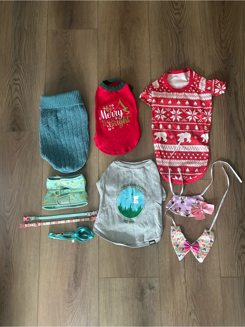 XS/S Dog Clothing & Accessories Bundle